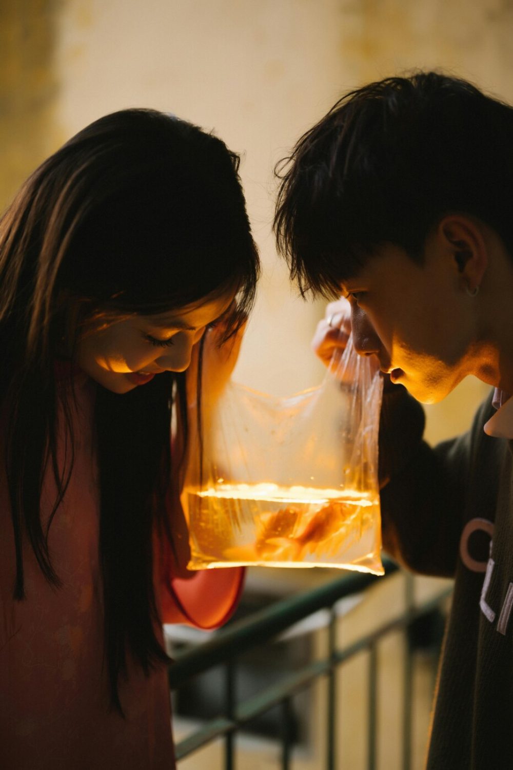 pexels-chuotanhls-20149080-2