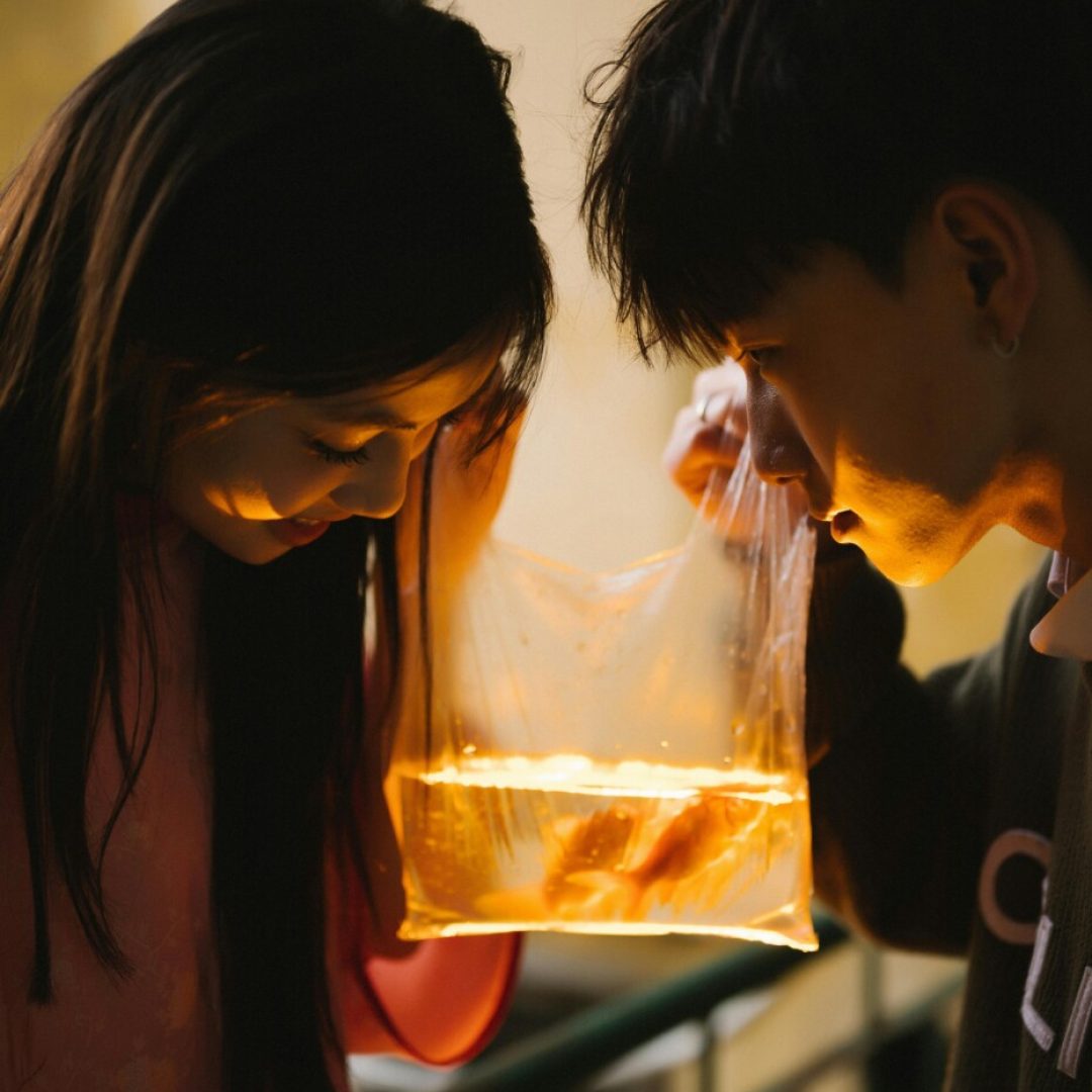 pexels-chuotanhls-20149080